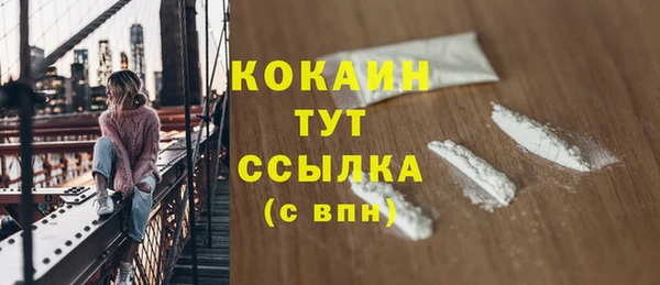 прущие грибы Абинск
