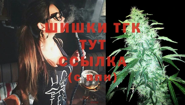 прущие грибы Абинск