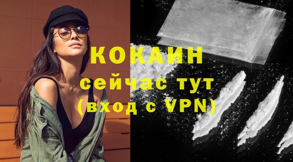 бошки Абаза