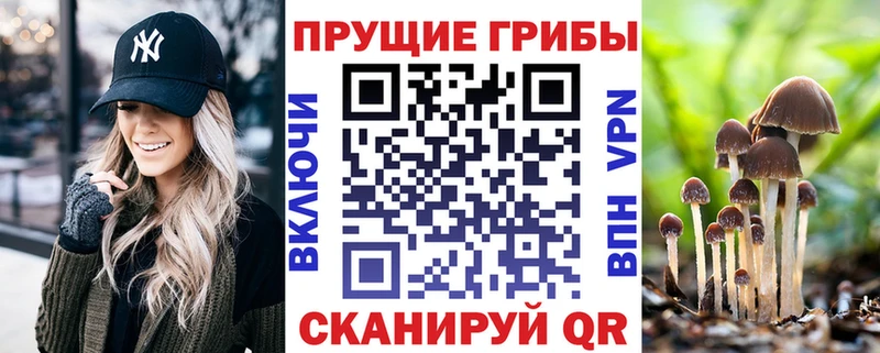наркота  Орёл  Псилоцибиновые грибы Magic Shrooms 